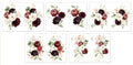 AquaInk Transfer Sheets - Valentina