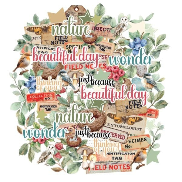 Botanical Chronicles - Creative Cuts
