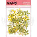 Golden Meadow Flowers