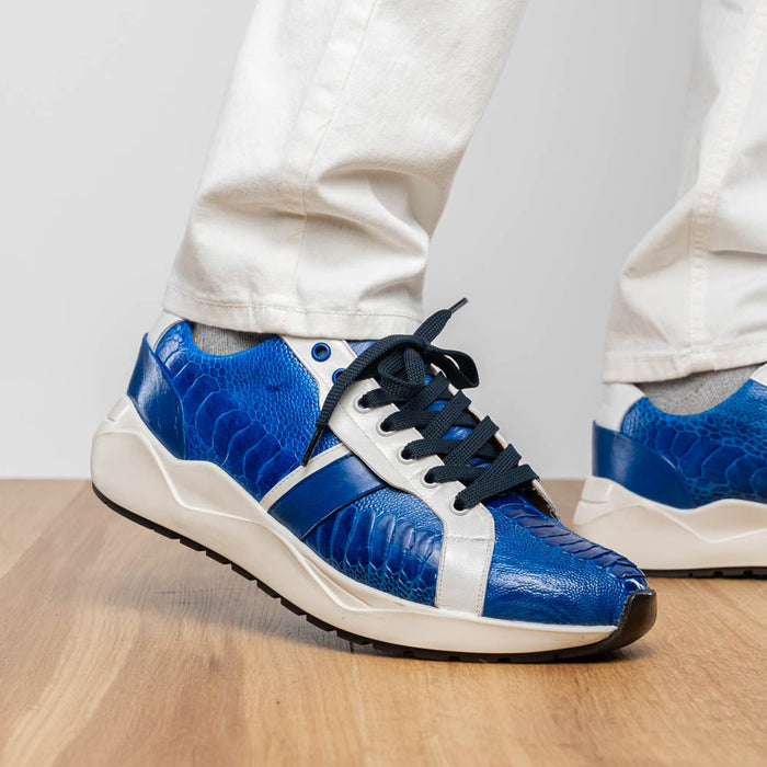 Lyon Blue / White