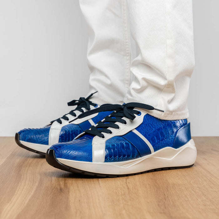 Lyon Blue / White
