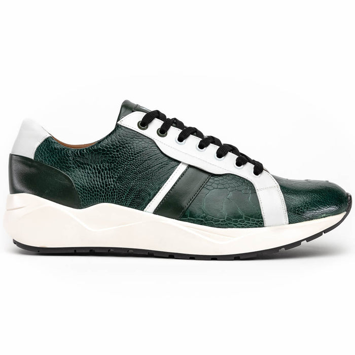 Lyon Green / White