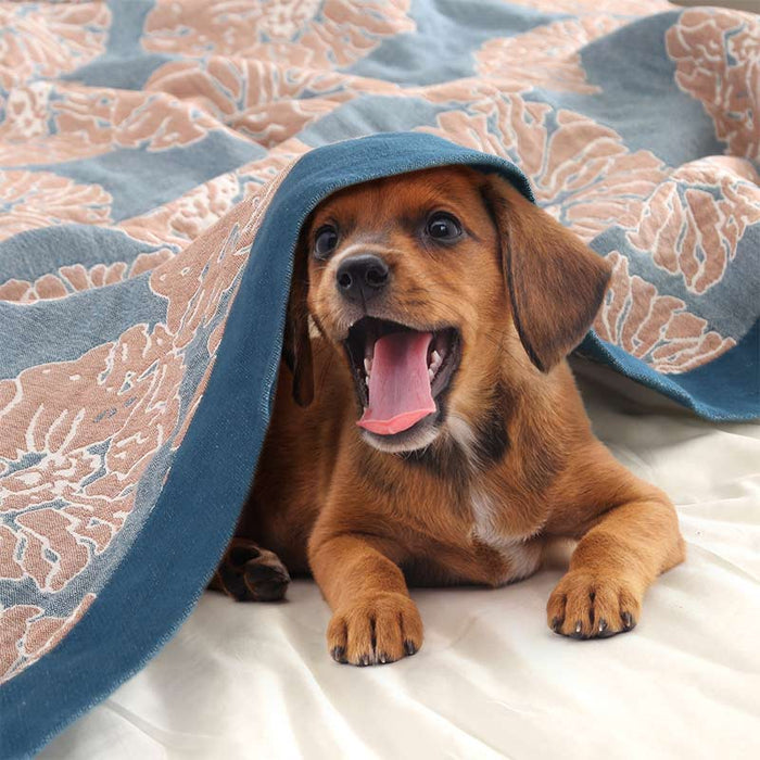 Ownkoti Lightweight Peony Cotton  Reversible Blanket - image 3