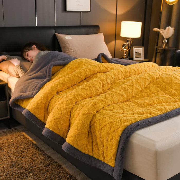 Ownkoti Luxurious Thick Warm Fleece Throw Blanket