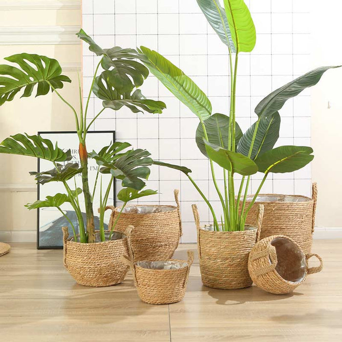 Woven Seagrass Belly Basket Storage Plant Pot Basket (2PCS)