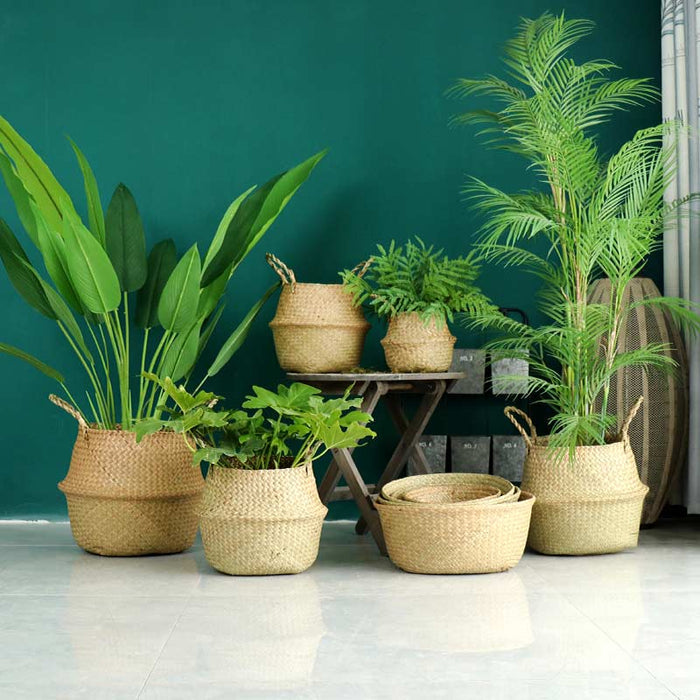 Woven Seagrass Belly Basket Storage Plant Pot Basket (2PCS)