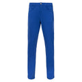 Prestige Pants ROYAL - Dudes Boutique