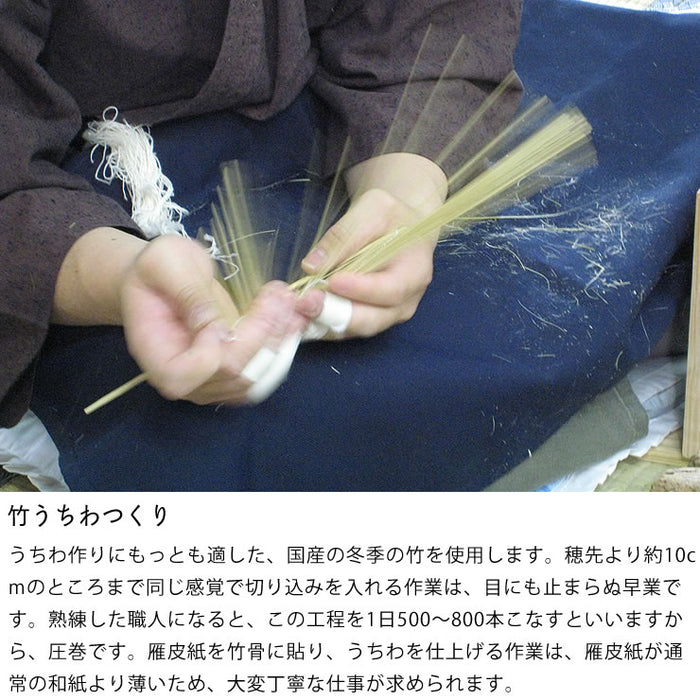 Small Mizu Uchiwa (Water Fan) - Wisteria -, Japanaese paper fan