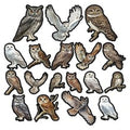The Cataloguer's Cabinet - Ephemera - Owls
