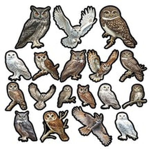 The Cataloguer's Cabinet - Ephemera - Owls